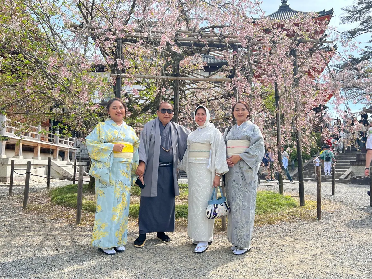 Ohayō guests in kimono under cherry blossoms in Japan