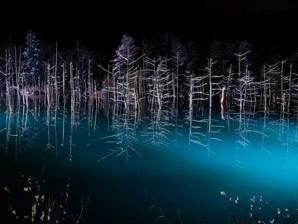 Shirogane Blue Pond Light-Up