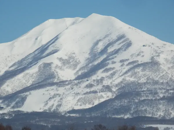 Niseko Powder Snow