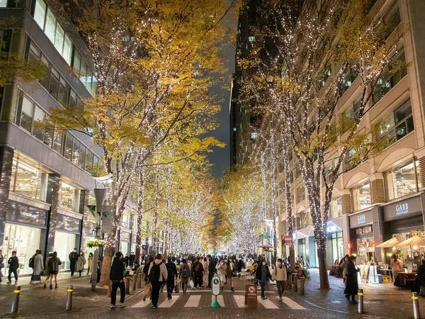 Tokyo winter illumination